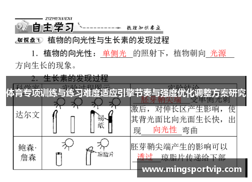 体育专项训练与练习难度适应引擎节奏与强度优化调整方案研究