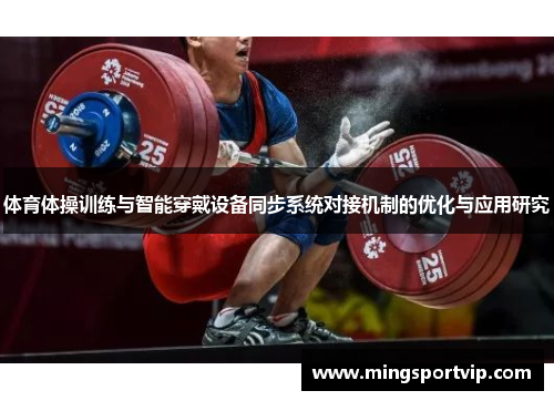 体育体操训练与智能穿戴设备同步系统对接机制的优化与应用研究